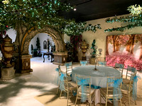 Vineyard Courtyard Seating up to 100 for Showers and Small Parties!