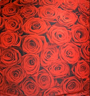 Red Rose Backdrop