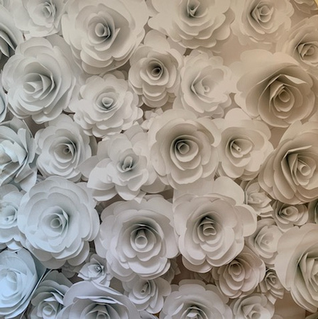 White Rose Backdrop